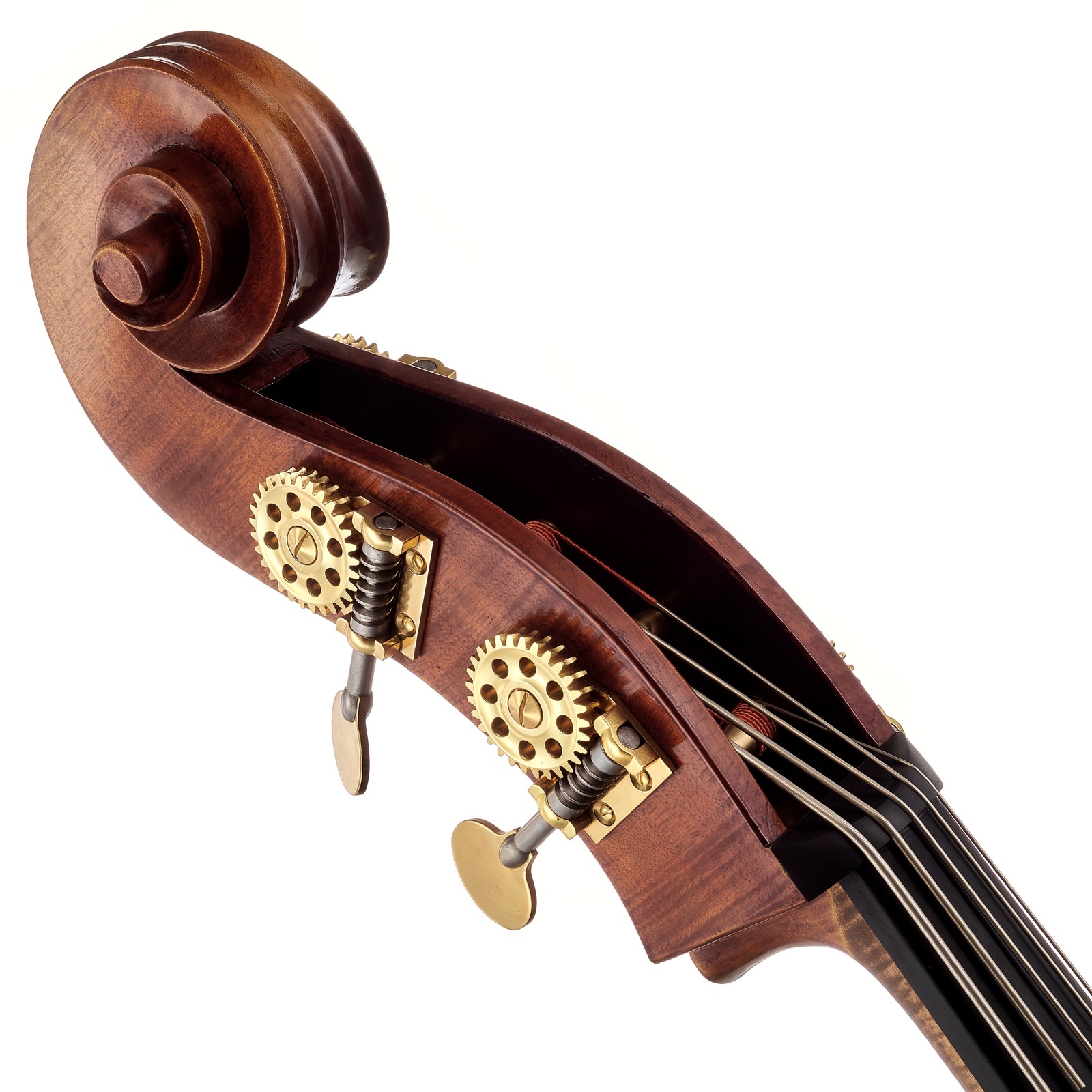 Schnecke aus Riegelahorn am Hals des Scala Vilagio Double Bass Ceruti 5-Str. IB
