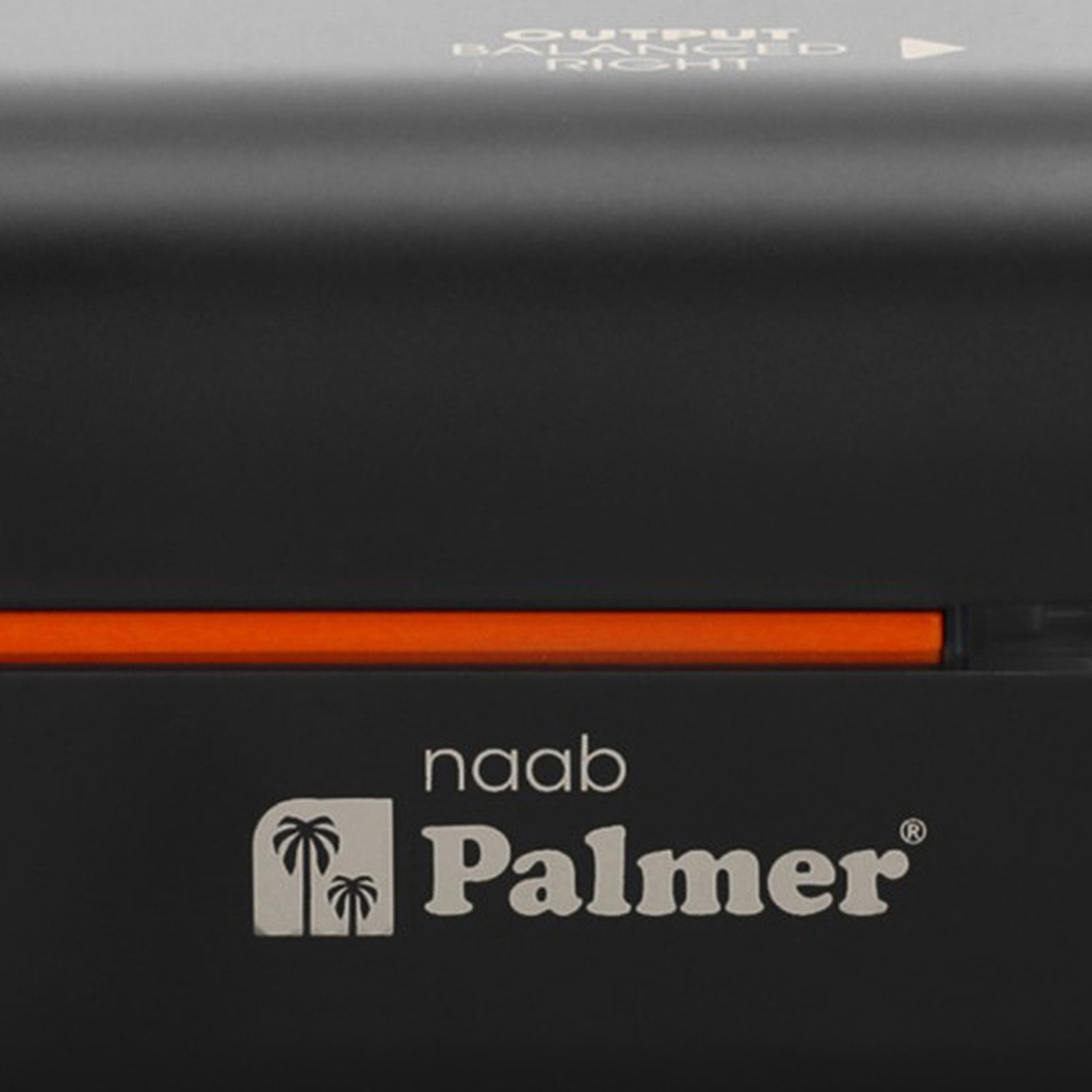 Palmer River naab Passive 2-Kanal Isolation Box
