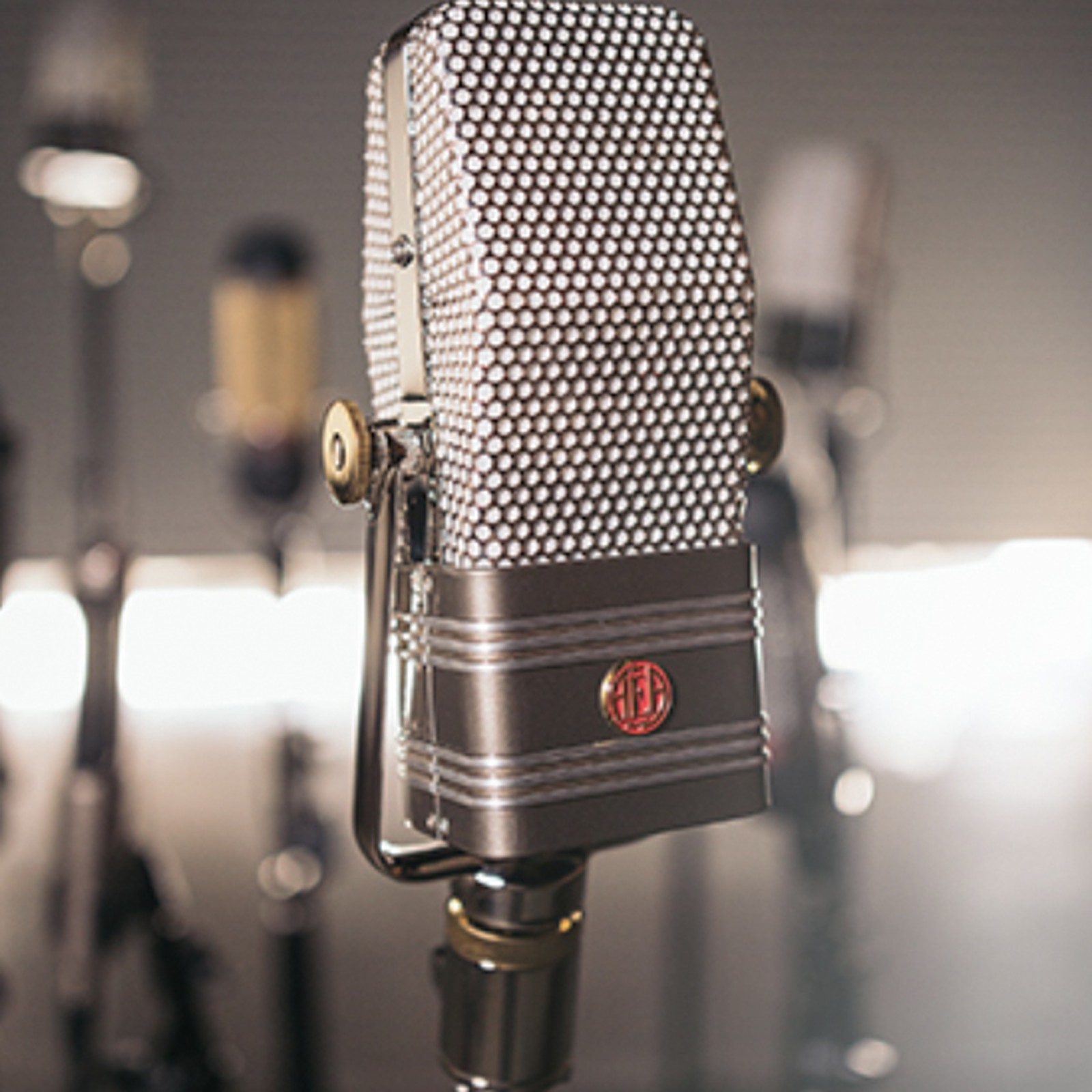 AEA A440 Bändchenmikrofon