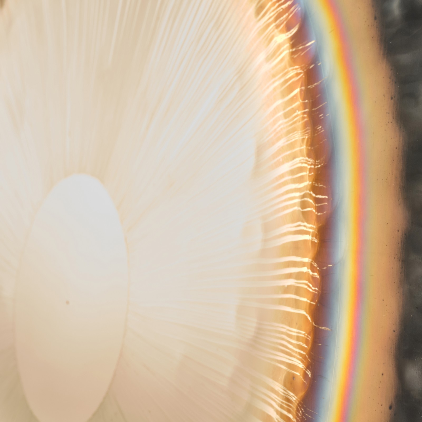 Thomann 24"/61cm Planet Gong Neptune, Detail