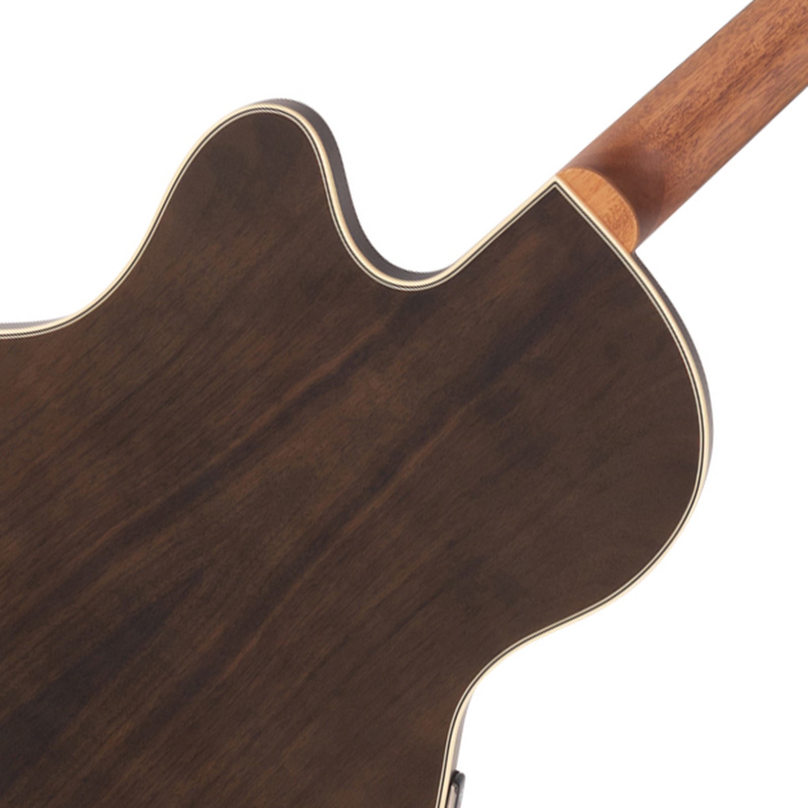 Rear view, Warwick Alien Deluxe 4 Hybrid Thinline Fretless, acoustic bass