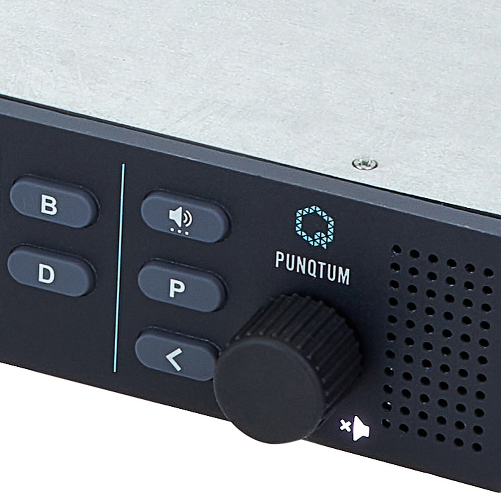 punQtum Logo