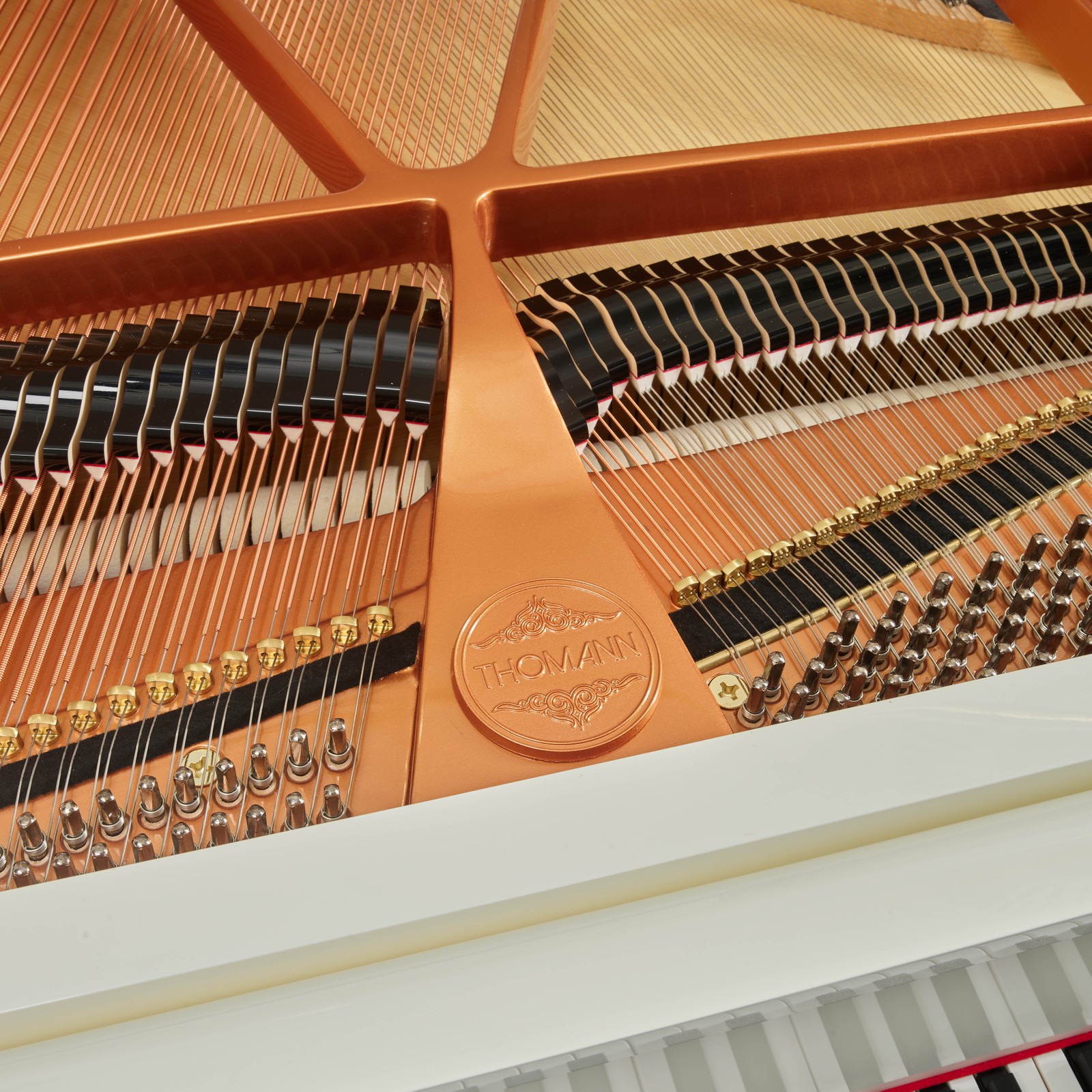 Thomann GP 160 WH/P Flügel