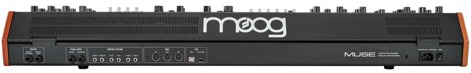 Anschlüsse auf der Rückseite des Moog Muse